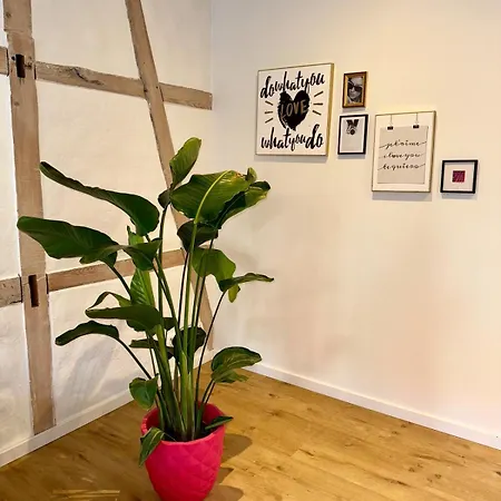 Appartement Charmantes, Stylisches Im Fachwerkhaus Am Schlossplatz Schwetzingen